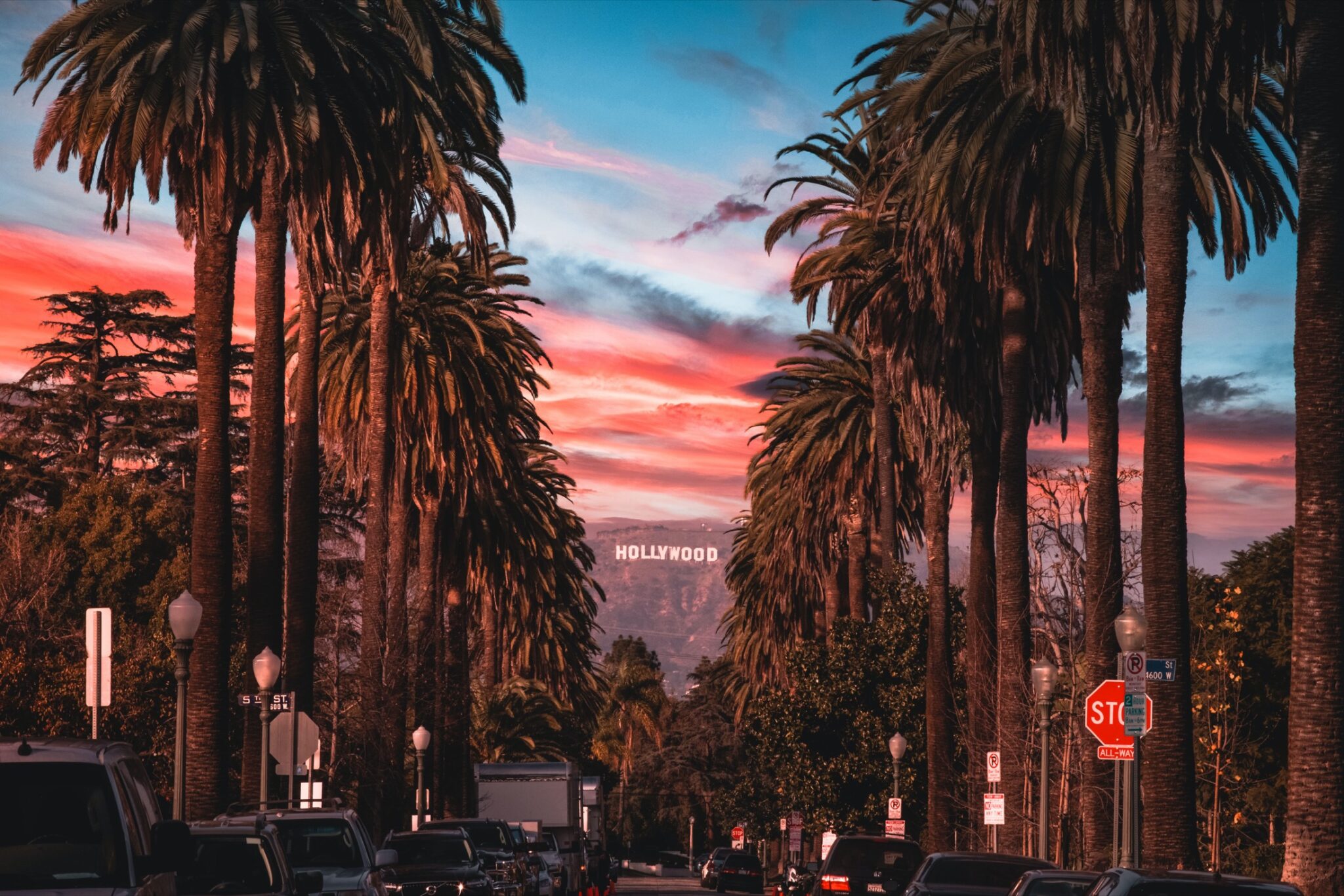 The Hollywood viewed sign down a street of palm trees