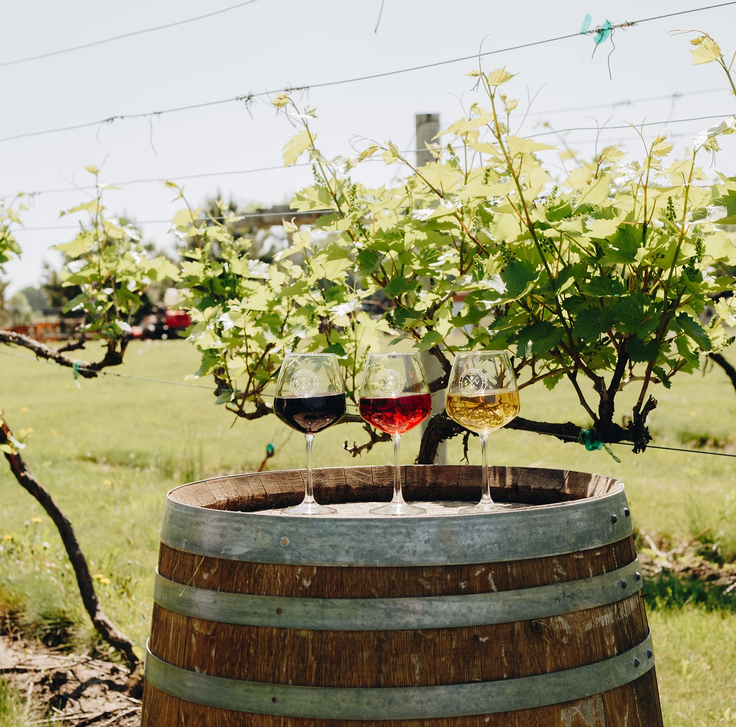 3 glasses of wine on a wooden barrel