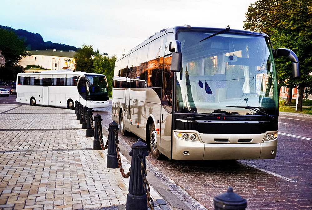 With a large fleet of charter buses available through Executive Transportation, you'll have access to the perfect vehicles for your needs.