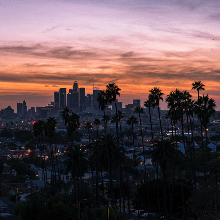 California hills dotted with palms at sunset.