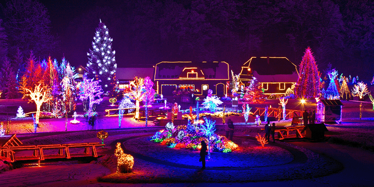 This home has decked-the-halls for the holidays in Minnesota and is a prime example of the types of stops you'll find on the Executive Transportation Holiday Lights Tour this year!