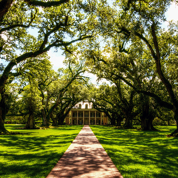 Oak Alley Plantation in Louisiana takes you into the beautiful countryside and back in history.