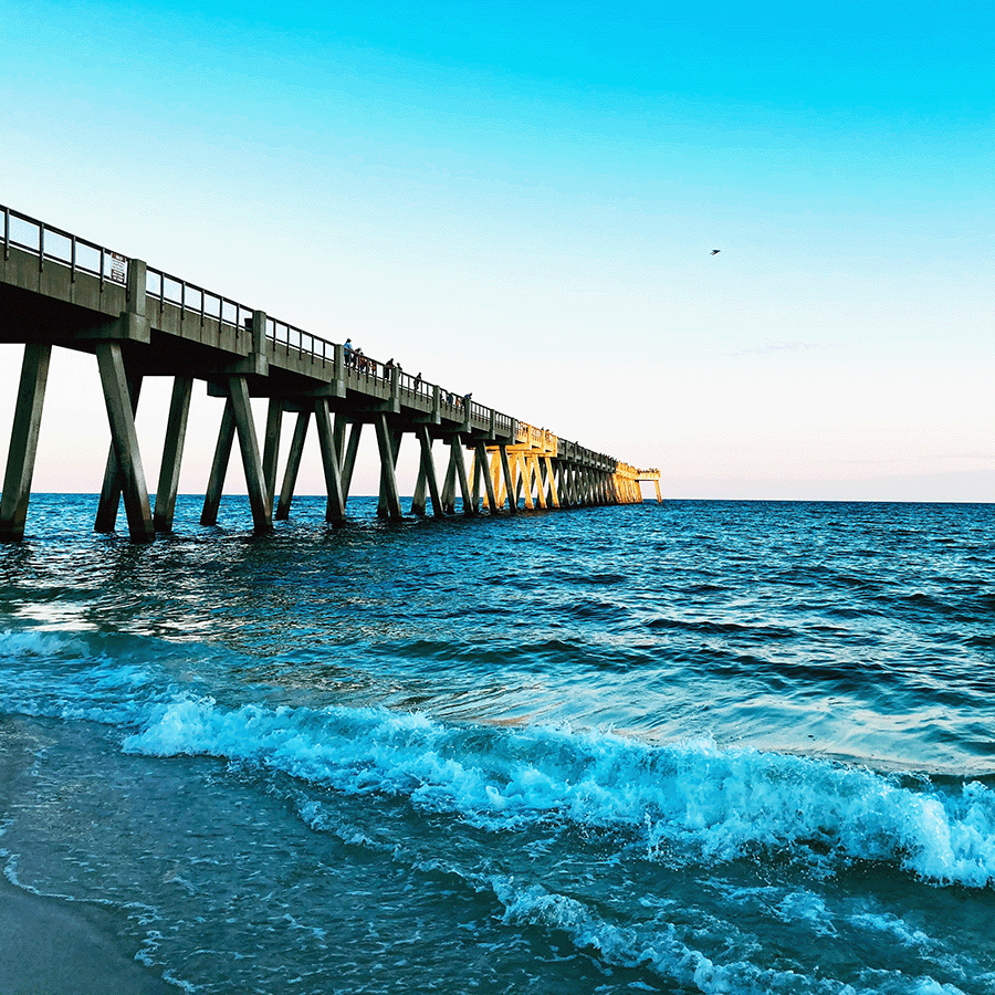 Beautiful Gulf Coast waters offer pristine beaches and plenty of nature to explore.