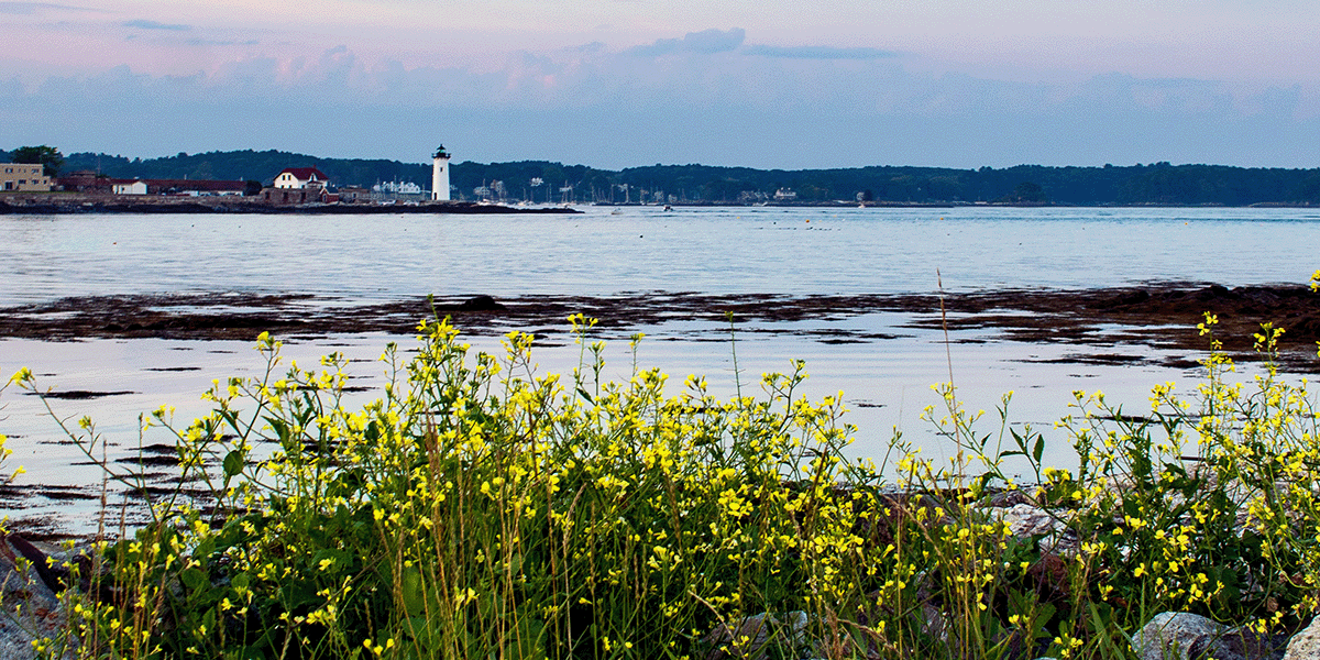 Looking across the water at a quaint New Hampshire town along the coast.