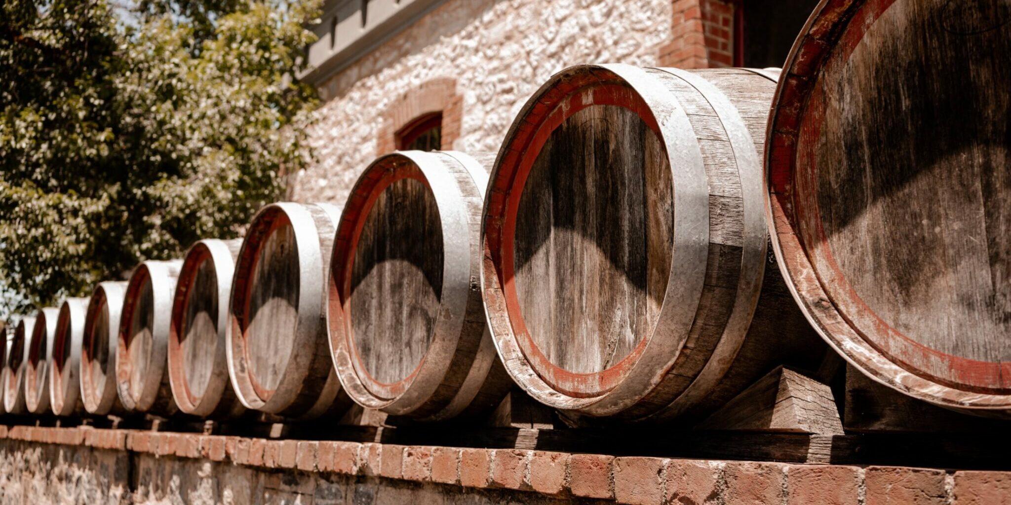 Wine barrels lined up on a brick wall